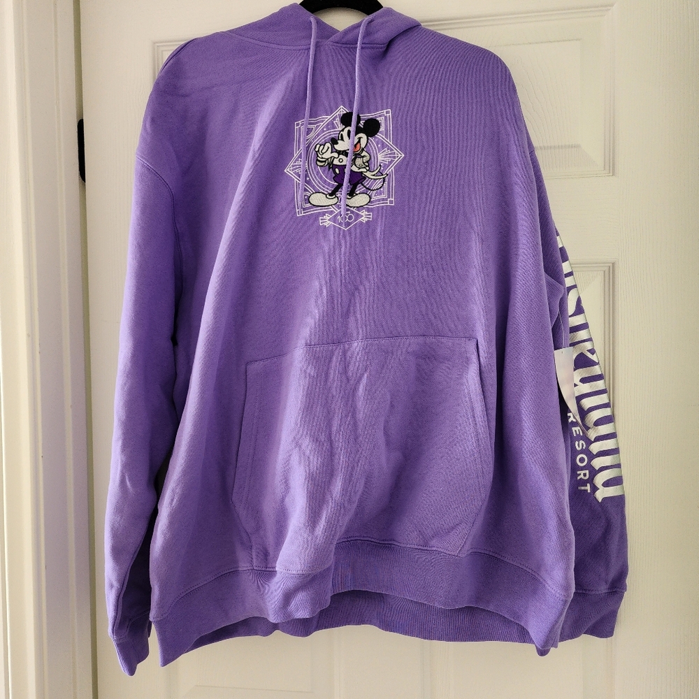 Disneyland 100 Years Purple Hooded Sweatshirt - XXL